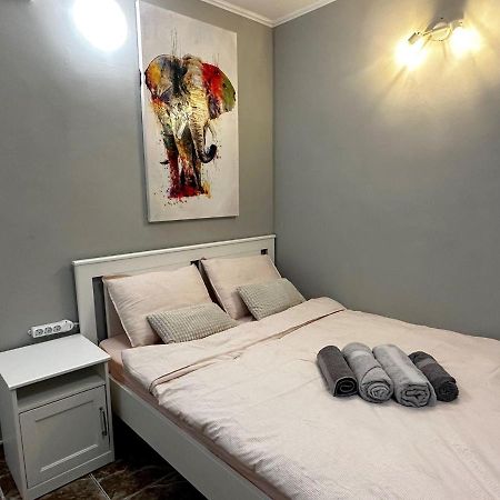 One Room Apartment Decebal 布加勒斯特 外观 照片