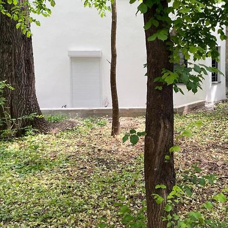 One Room Apartment Decebal 布加勒斯特 外观 照片