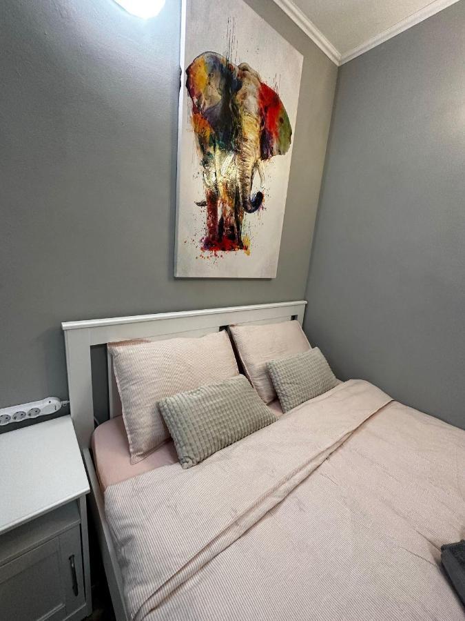 One Room Apartment Decebal 布加勒斯特 外观 照片