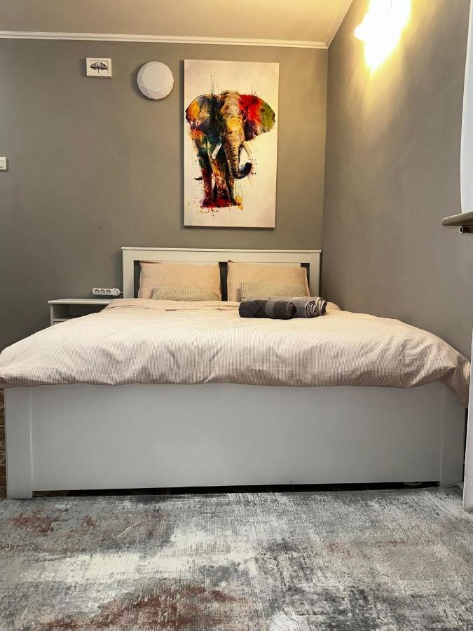 One Room Apartment Decebal 布加勒斯特 外观 照片
